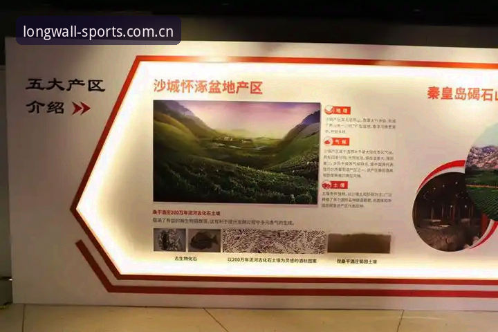 长城体育下载地址与官方渠道全面对比：哪个入口更安全便捷？